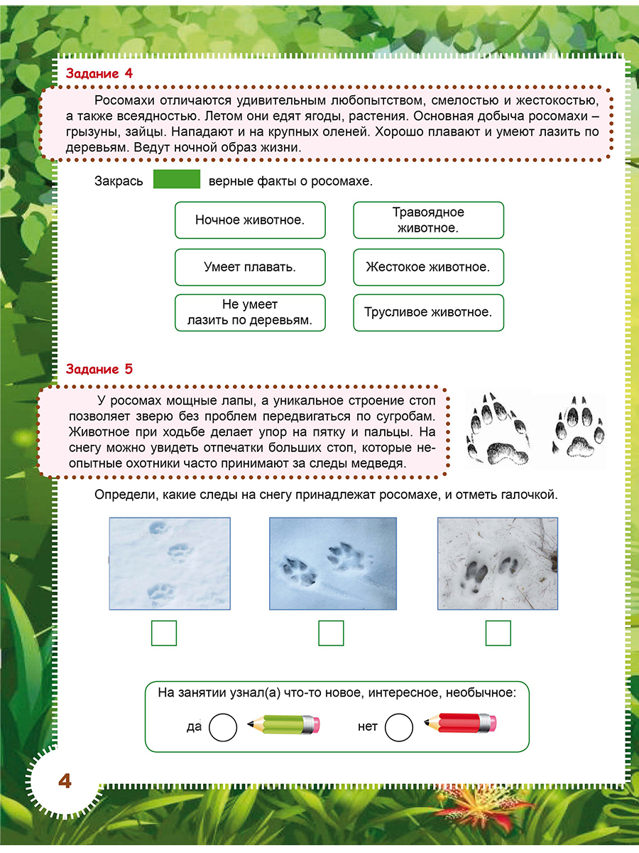 Обложка книги Занимательный окружающий мир. Удивительные растения и животные 2 класс. Развивающий тренажёр для школьников, Автор Карышева Е.Н., издательство Планета | купить в книжном магазине Рослит