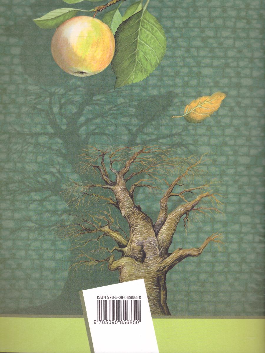 Обложка книги Биология 6 класс. Рабочая тетрадь №2. ФГОС, Автор Сухова Т.С. Дмитриева Т.А., издательство Просвещение/Союз                                   | купить в книжном магазине Рослит