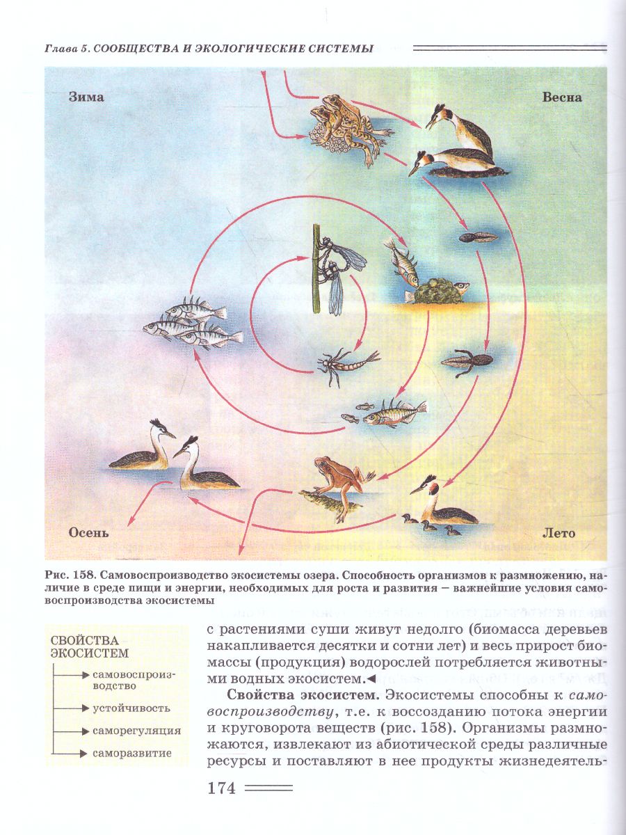 Обложка книги Биология 11 класс. Биологические системы и процессы (углубленный / базовый уровни), Автор Теремов А.В. Петросова Р.А., издательство Владос | купить в книжном магазине Рослит