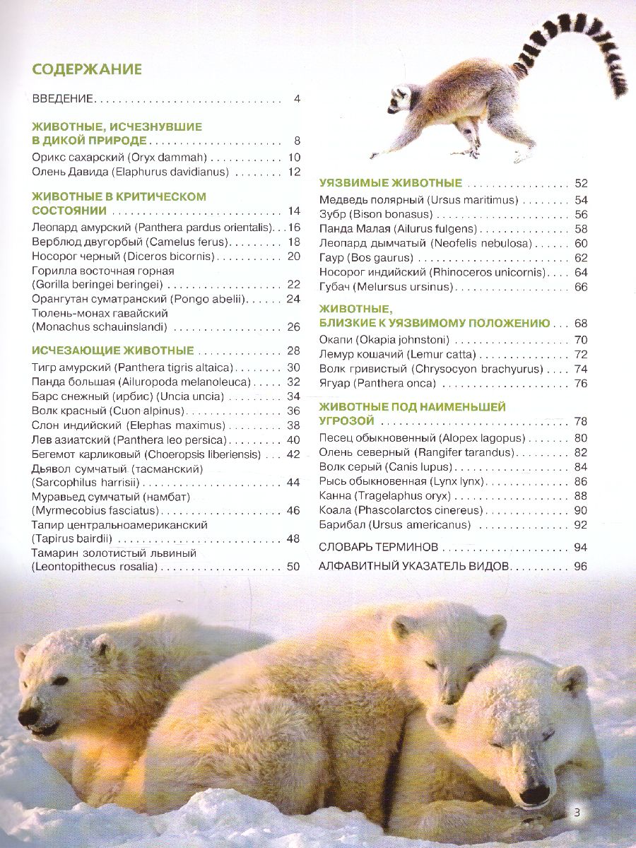 Обложка Красная книга. Животные мира / Красная книга для больших и маленьких, издательство ЭКСМО | купить в книжном магазине Рослит