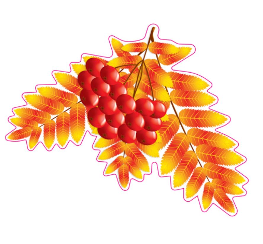 Обложка книги Вырубная фигурка. Листочки. Рябина осенняя. Тема Деревья. М-15207, Автор М-15207, издательство Сфера | купить в книжном магазине Рослит