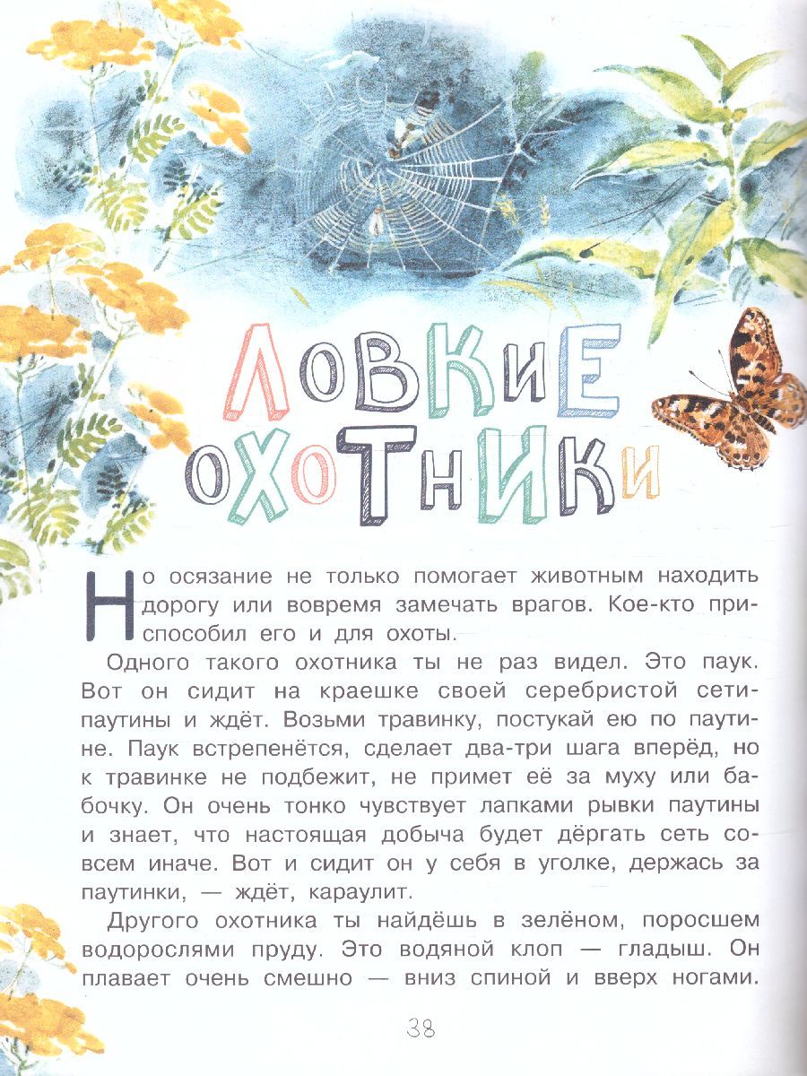 Обложка Для чего коту усы? /СамЛучшПочемучкиныКнижки, издательство АСТ | купить в книжном магазине Рослит
