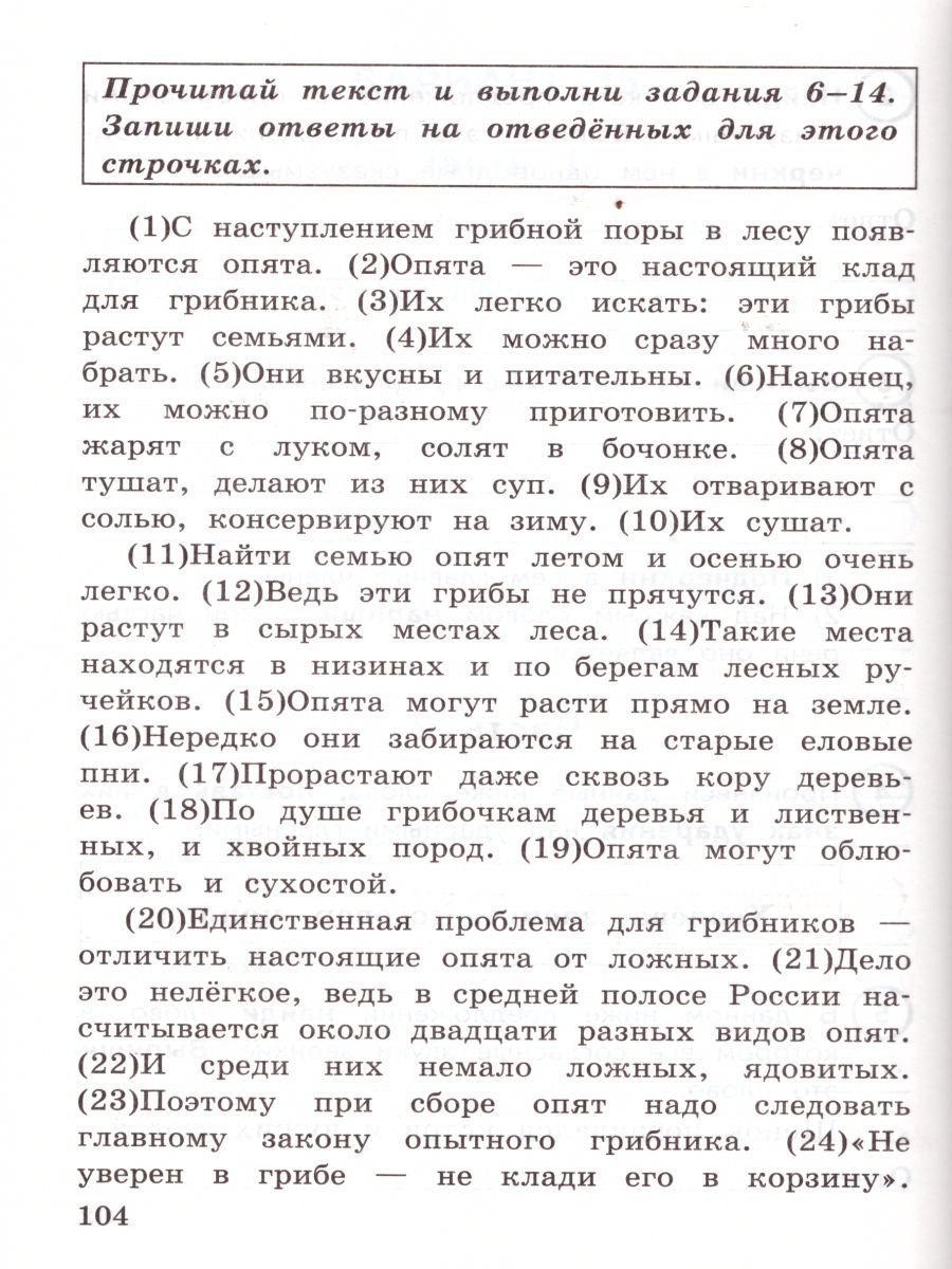 картинка ВПР Русский язык 4 класс 15 вариантов. Типовые задания. ФГОС от магазина Рослит
