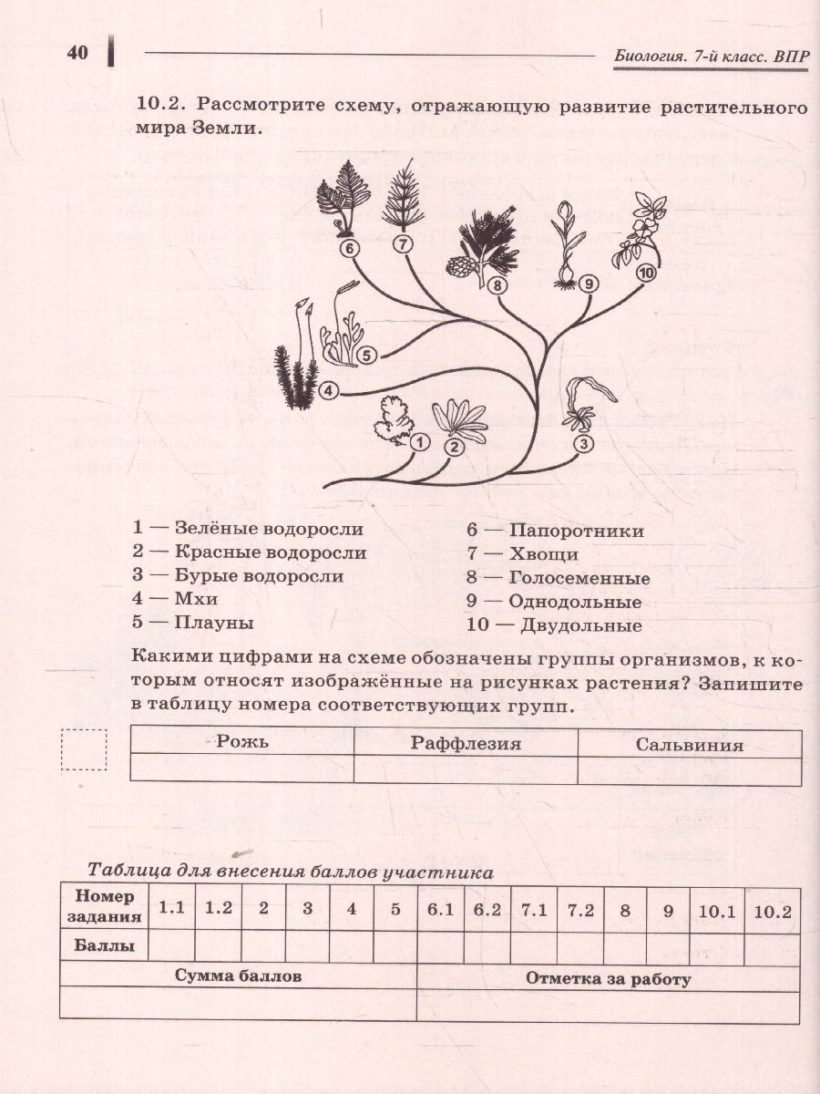 Обложка книги ВПР-2023. Биология 7 класс. 10 тренировочных вариантов, Автор Кириленко А.А., издательство ЛЕГИОН | купить в книжном магазине Рослит
