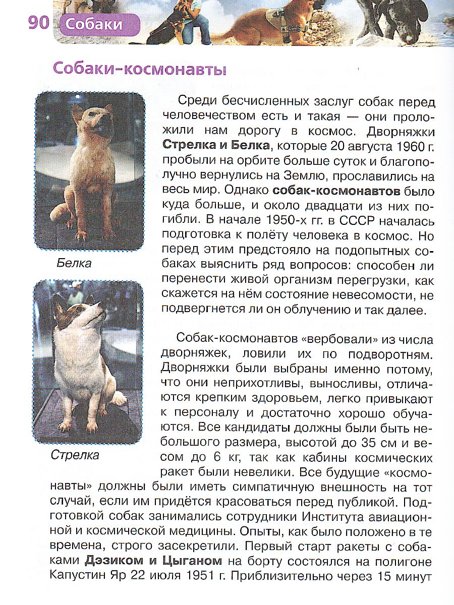 Обложка Собаки, издательство РОСМЭН | купить в книжном магазине Рослит