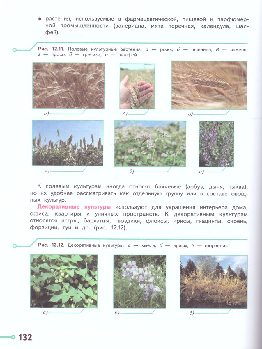 Обложка книги Технология 5 класс. Учебник, Автор Казакевич В.М. Пичугина Г.В., издательство Просвещение | купить в книжном магазине Рослит
