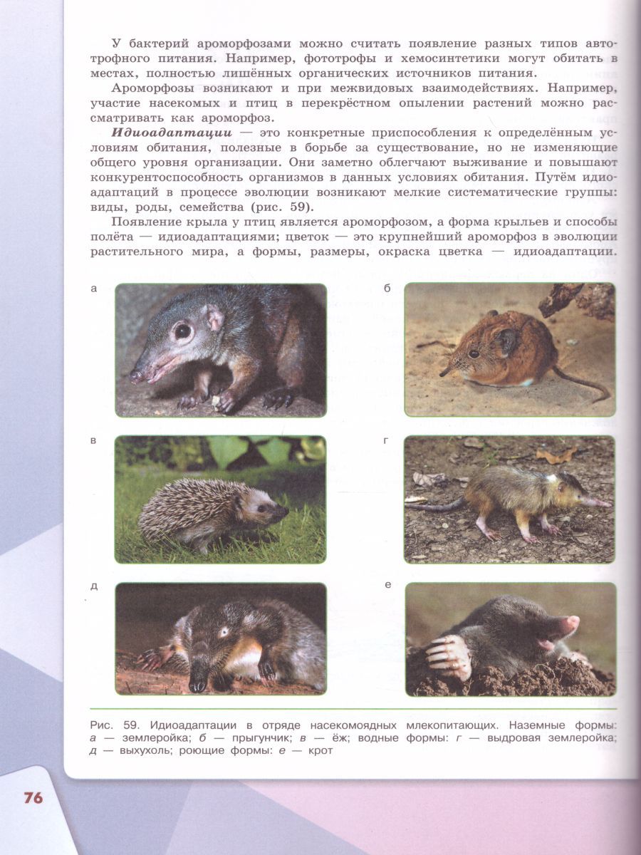 Обложка книги Биология 11 класс. Базовый уровень. Учебник, Автор Каменский А.А. Касперская Е.К. Сивоглазов В.И., издательство Просвещение | купить в книжном магазине Рослит