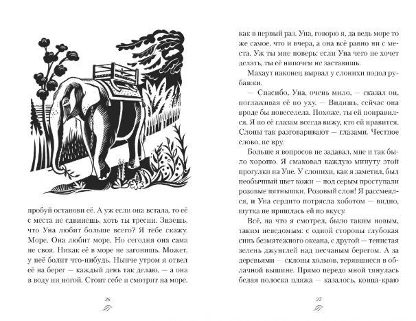 Обложка Мальчик из джунглей / Детский бестселлер Майкла Морпурго*, издательство Махаон | купить в книжном магазине Рослит