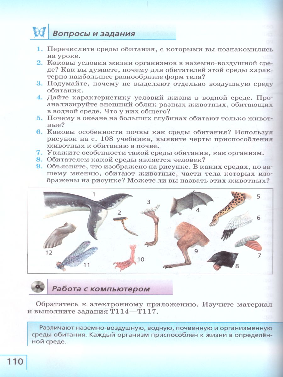 Обложка книги Биология 5 класс. Учебник. ФГОС, Автор Сивоглазов В.И. Плешаков А.А., издательство Дрофа | купить в книжном магазине Рослит