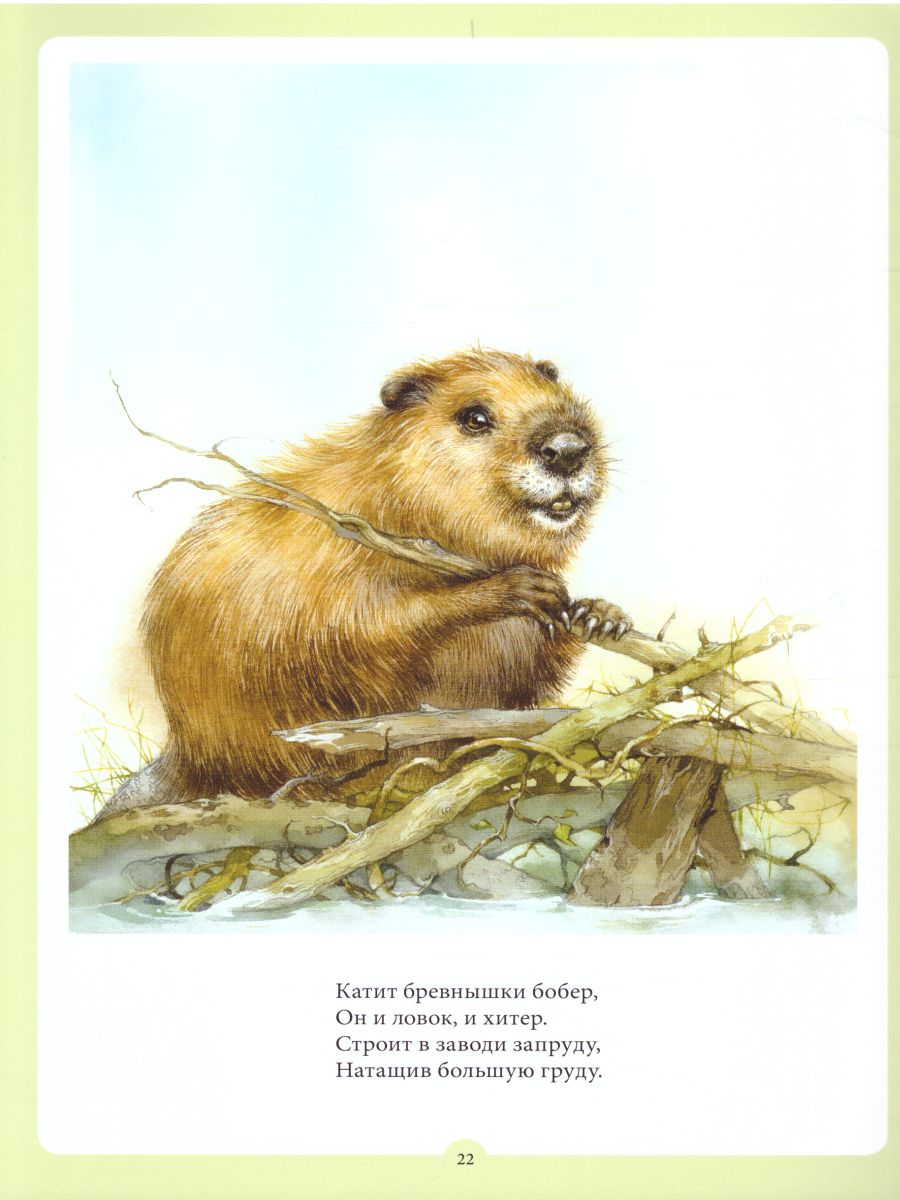 Обложка книги Веселая дыхательная гимнастика, Автор Нищева Н.В., издательство ДЕТСТВО-ПРЕСС | купить в книжном магазине Рослит