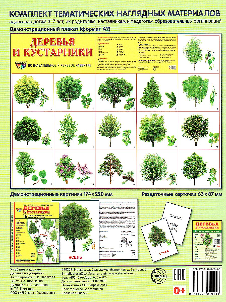 Обложка книги Демонстрационные картинки СУПЕР Деревья и кустарники.16 демонстрационных картинок с текстом. 173х220 мм, Автор , издательство Сфера | купить в книжном магазине Рослит