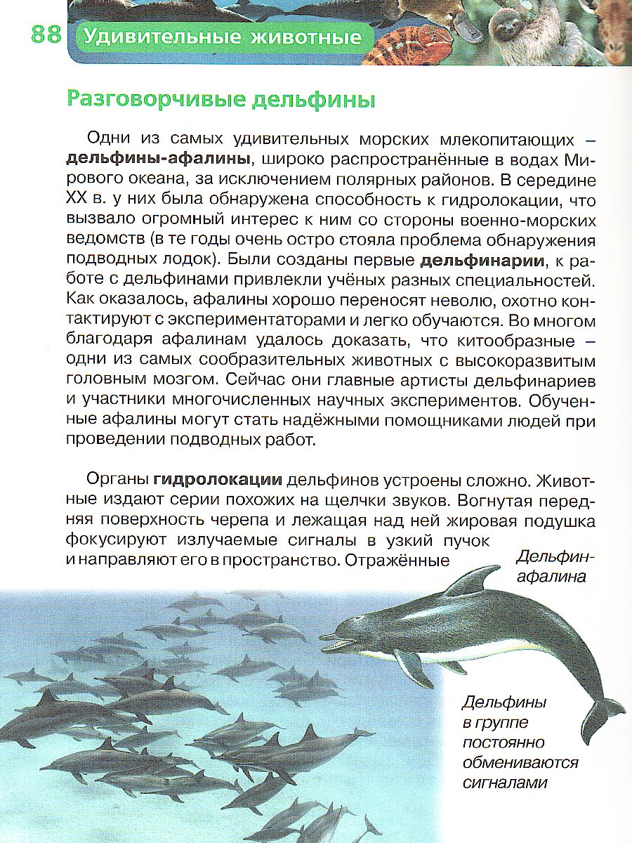 Обложка Удивительные животные (ДЭР), издательство РОСМЭН | купить в книжном магазине Рослит