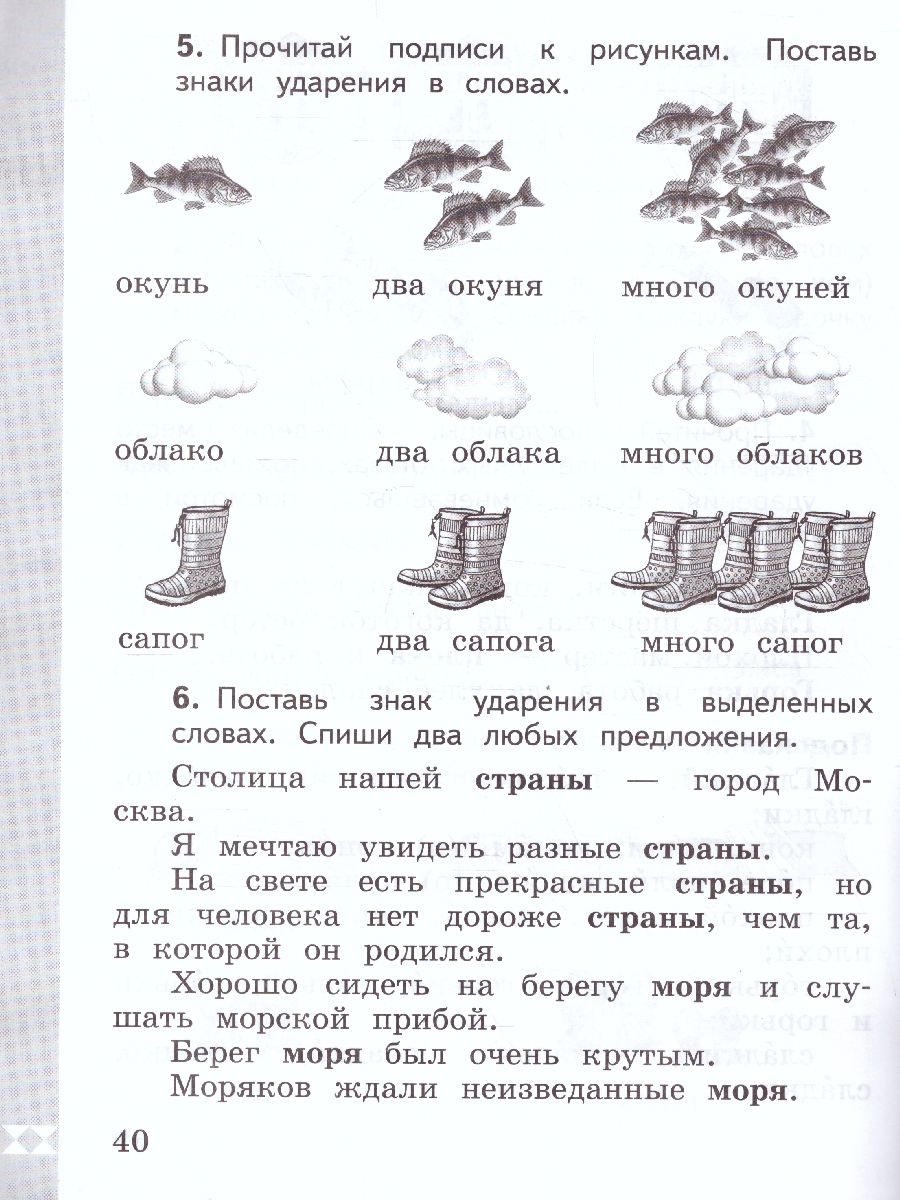 Обложка книги Русский родной язык 1 класс. Практикум, Автор Александрова М.А. Кузнецова М.И. Петленко Л.В., издательство Просвещение | купить в книжном магазине Рослит