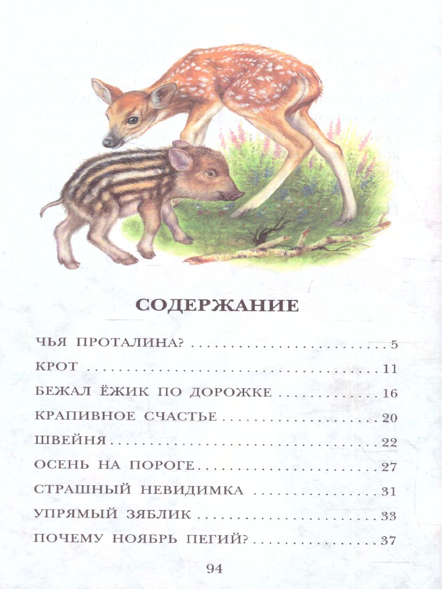 Обложка книги Сладков Н.И. Лесные сказки /Детское чтение, Автор Сладков Н.И., издательство АСТ | купить в книжном магазине Рослит