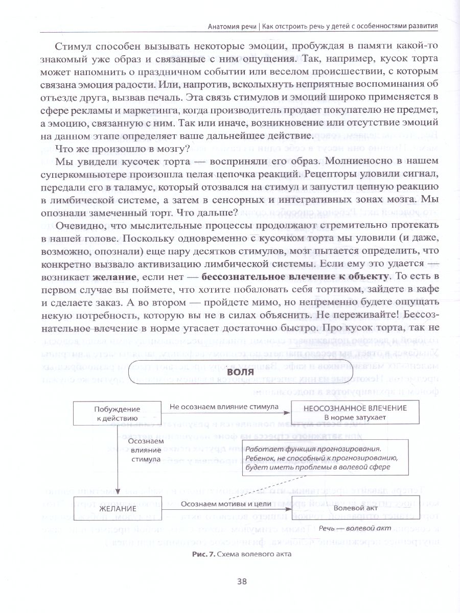 Обложка книги Анатомия речи: как отстроить речь у детей с особенностями развития, Автор Кулькова Н., издательство Феникс ТД                                          | купить в книжном магазине Рослит