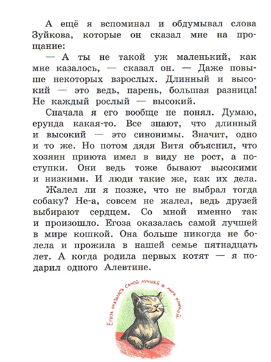 Обложка книги Гном великаныч, Автор Добросовестная О.Г., издательство Вако | купить в книжном магазине Рослит