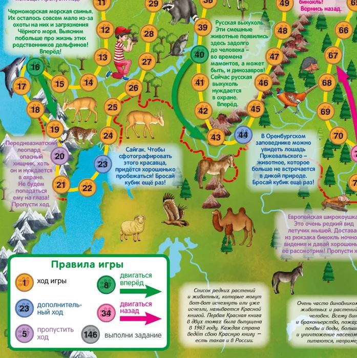 Обложка книги Настольная игра "Играем всей семьей". Животный мир России, Автор , издательство РУЗ Ко | купить в книжном магазине Рослит