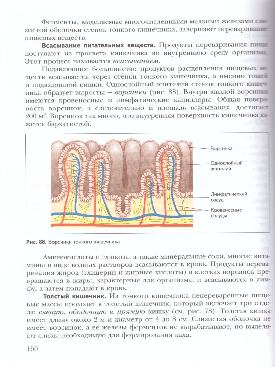 Обложка книги Биология 8 класс. Учебник. ФГОС, Автор Каменский А.А. Сарычева Н.Ю. Сухова Т.С., издательство Просвещение | купить в книжном магазине Рослит