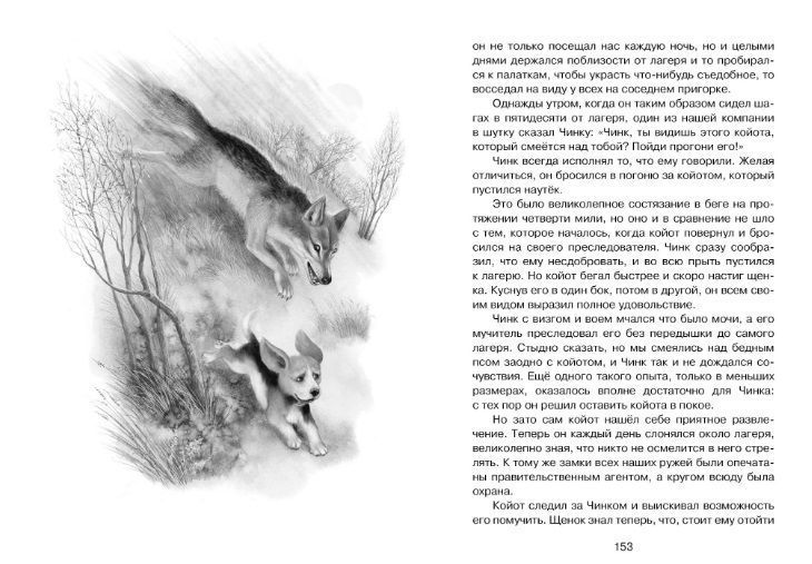 Обложка Рассказы о животных / Чтение - лучшее учение, издательство Махаон | купить в книжном магазине Рослит