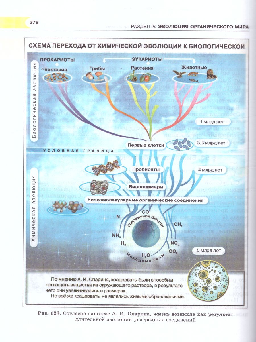 Обложка книги Биология 9 класс. Общие биологические закономерности. Учебник. ФГОС, Автор Ефимова Т.М. Сухорукова Л.Н. Шубин А.О., издательство Мнемозина | купить в книжном магазине Рослит