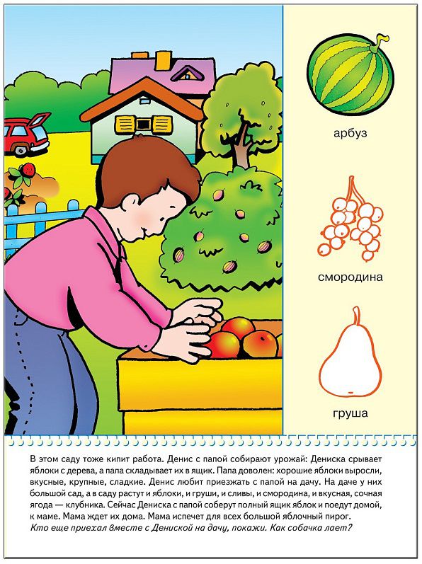 Обложка книги Школа Семи Гномов Второй год обучения. В деревне и на даче, Автор Денисова Д., издательство Мозаика-Синтез | купить в книжном магазине Рослит