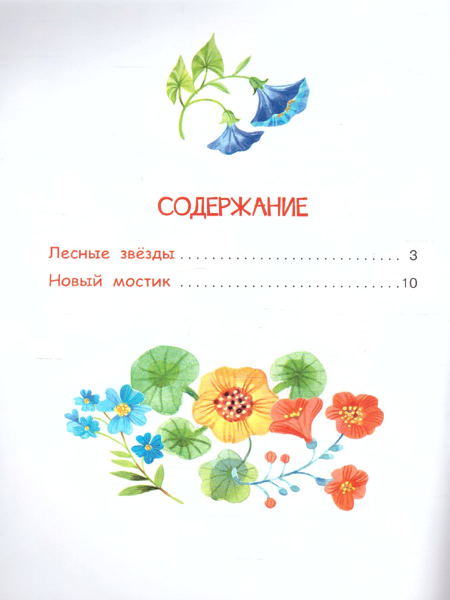 Обложка книги Лесные звезды. Сказки / Мои любимые книжки (Вако), Автор , издательство Вако | купить в книжном магазине Рослит