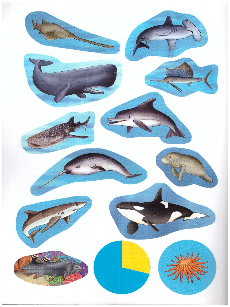 Обложка книги Книжка-раскраска с наклейками. Морские животные, Автор , издательство РУЗ Ко | купить в книжном магазине Рослит