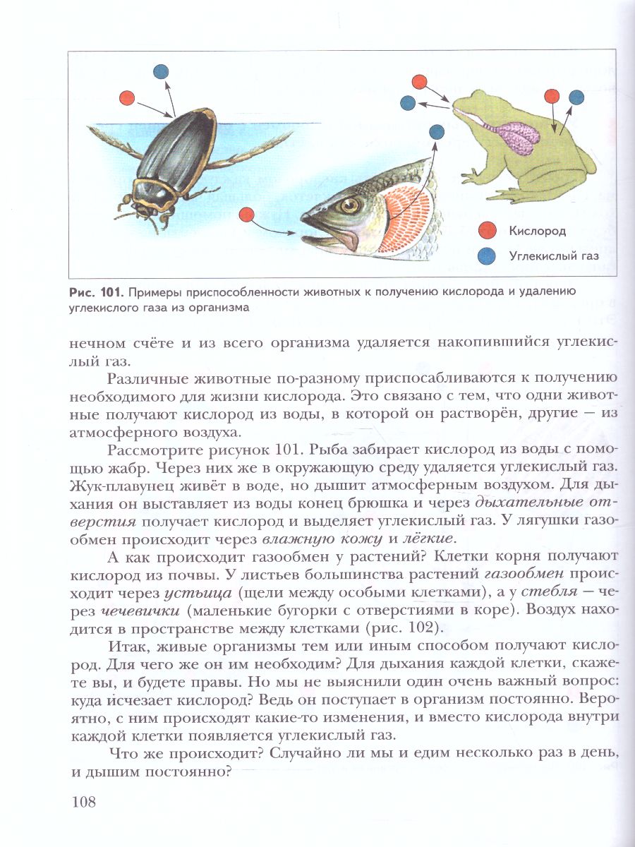 картинка Биология 5 класс. Учебник. ФГОС от магазина Рослит