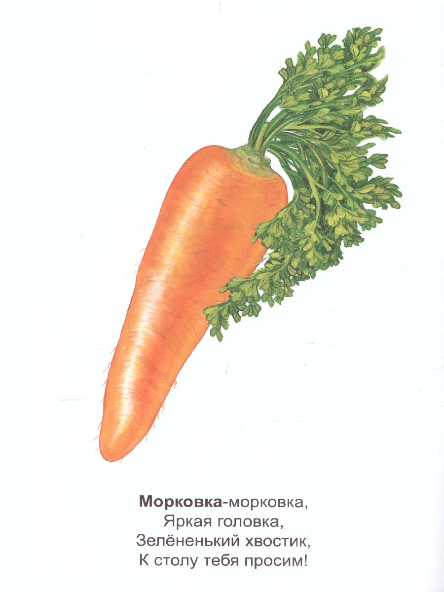 Обложка книги Раскраска Малышок "Овощи", Автор , издательство Страна фантазий | купить в книжном магазине Рослит