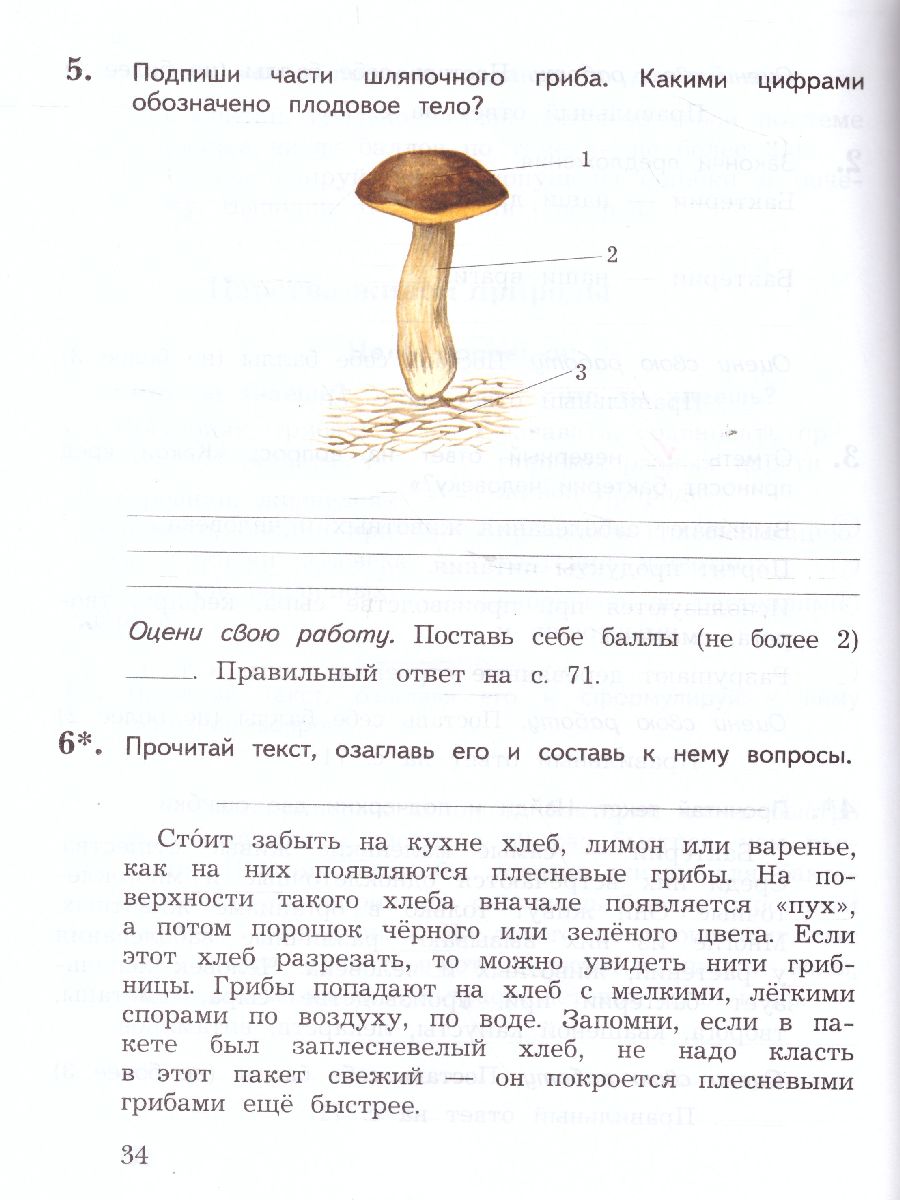 Обложка книги Окружающий мир 3 класс. Тетрадь для проверочных работ № 2. ФГОС, Автор Виноградова Н.Ф., издательство Просвещение | купить в книжном магазине Рослит