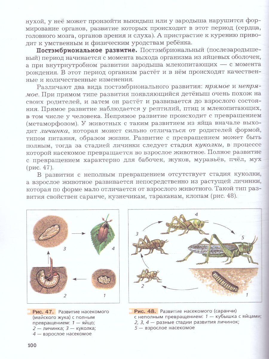 Обложка книги Биология 9 класс. ФГОС (концентрический курс), Автор Пономарева И.Н. Корнилова О.А. Чернова Н.М., издательство Просвещение | купить в книжном магазине Рослит