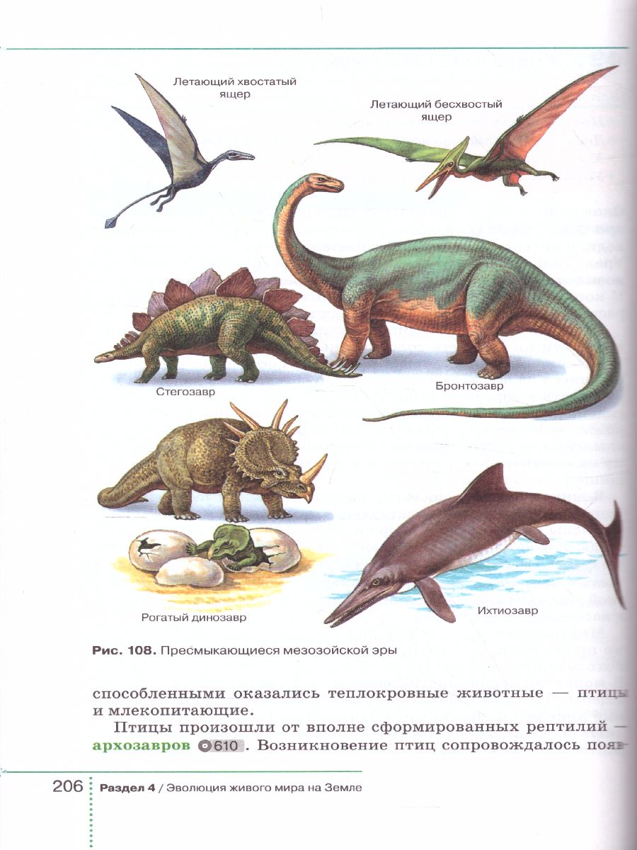 Обложка книги Биология 9 класс. Учебник (концентрический курс), Автор Захаров В.Б. Сивоглазов В.И. Мамонтов С.Г. Агаф, издательство Просвещение | купить в книжном магазине Рослит