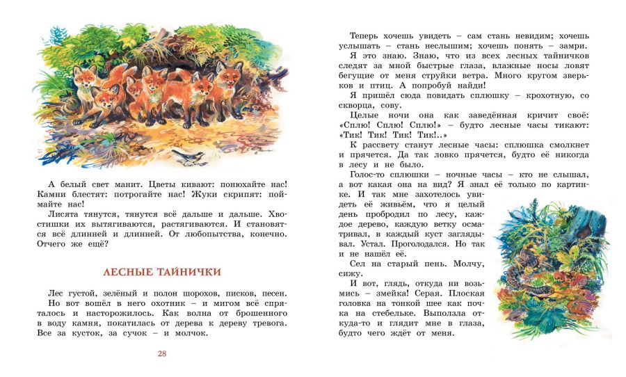 Обложка Лесные тайнички /Библиотека детской классики, издательство Махаон | купить в книжном магазине Рослит