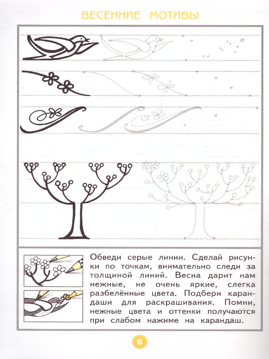 Обложка книги Чистая линия. Художественные прописи 1 класс. Часть 2, Автор Ашикова С.Г., издательство Просвещение/Союз                                   | купить в книжном магазине Рослит