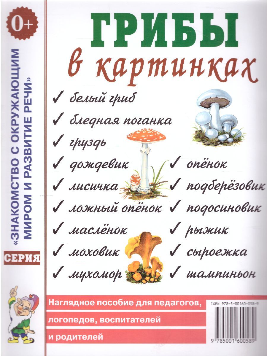 Обложка книги Грибы в картинках. Наглядное пособие для воспитателей, логопедов, педагогов, родителей, Автор , издательство ГНОМ | купить в книжном магазине Рослит