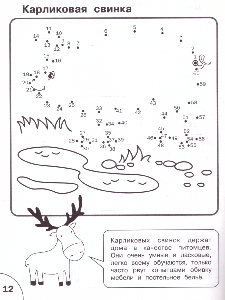 Обложка книги По дороге в школу  Соедини по точкам. От простого к сложному, Автор Шехтман В.М., издательство Вако | купить в книжном магазине Рослит