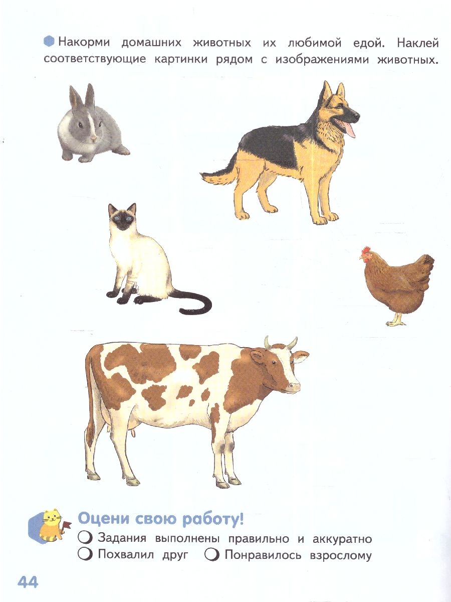 Обложка книги Готовимся к школе.Знакомлюсь с животными:развивающая тетрадь для детей подготов. группы ДОО. 6-7 лет, Автор Михайловская С.Н., издательство Мозаичный парк                                     | купить в книжном магазине Рослит