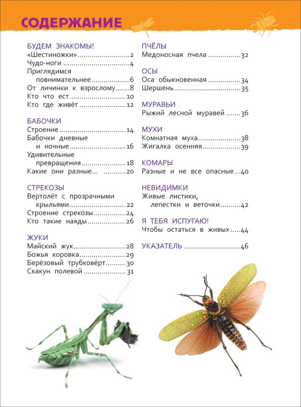 Обложка Насекомые. Энциклопедия для детского сада, издательство РОСМЭН | купить в книжном магазине Рослит