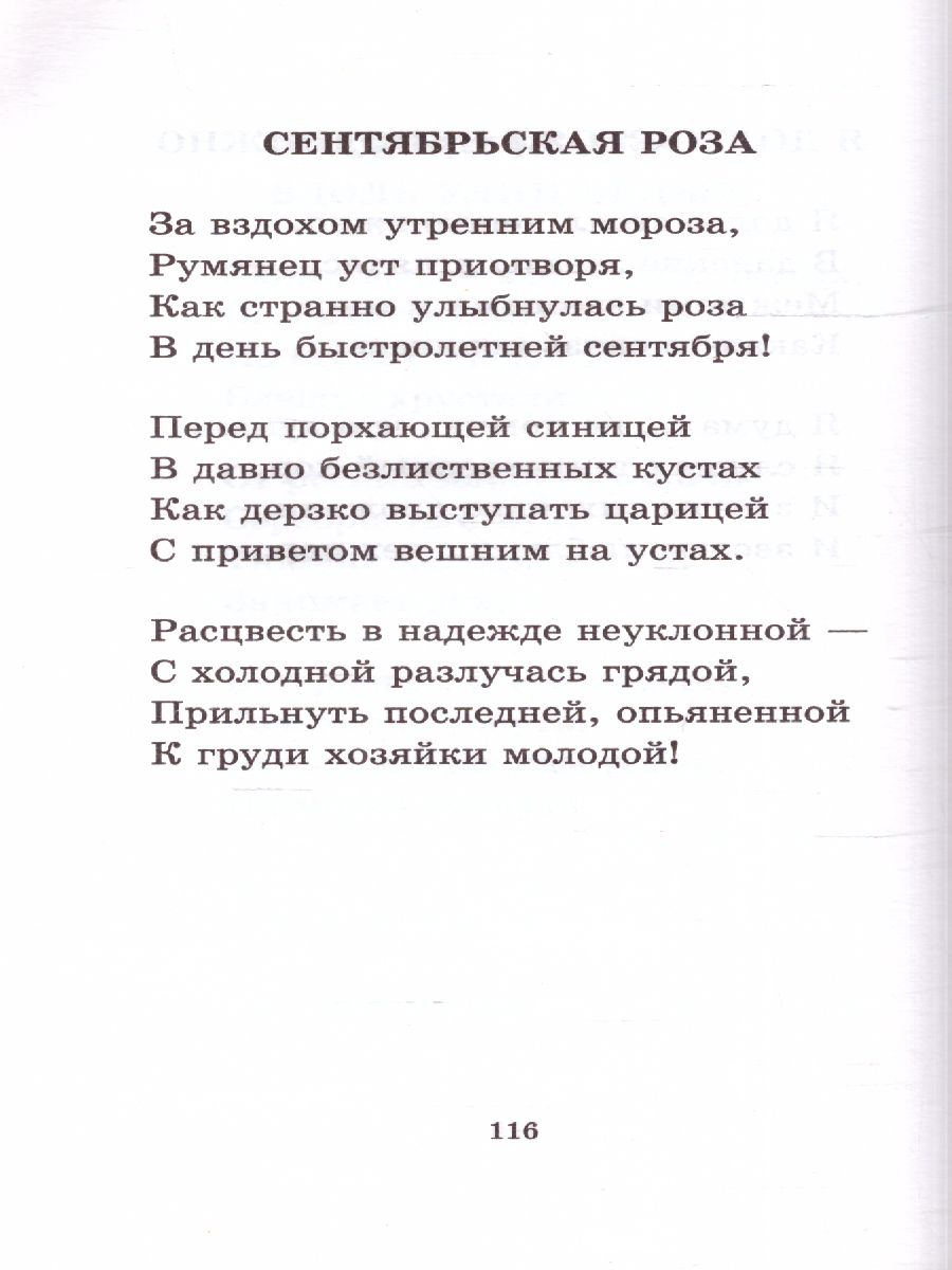 картинка Русская поэзия XIX века от магазина Рослит