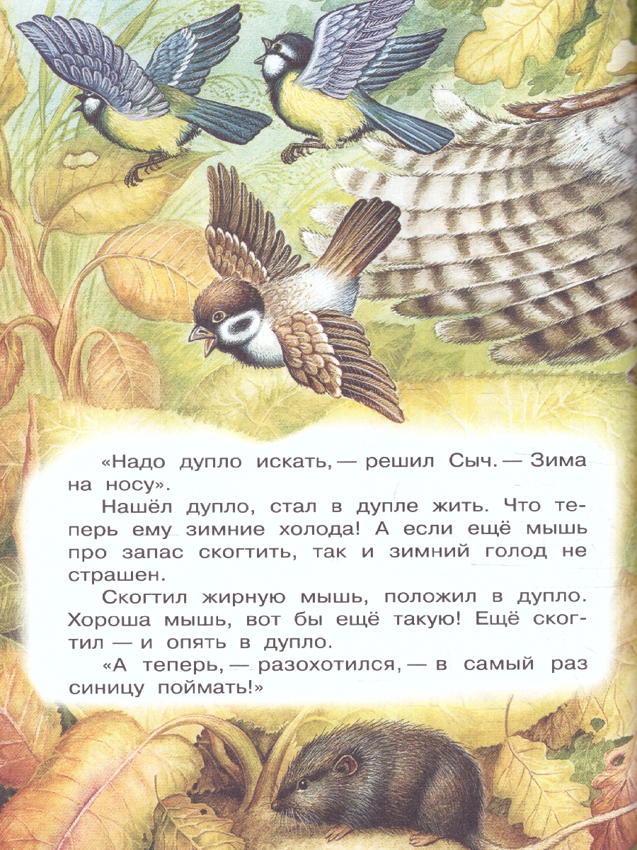 Обложка книги Сладков Лесные сказки, Автор Сладков Н.И., издательство АСТ | купить в книжном магазине Рослит