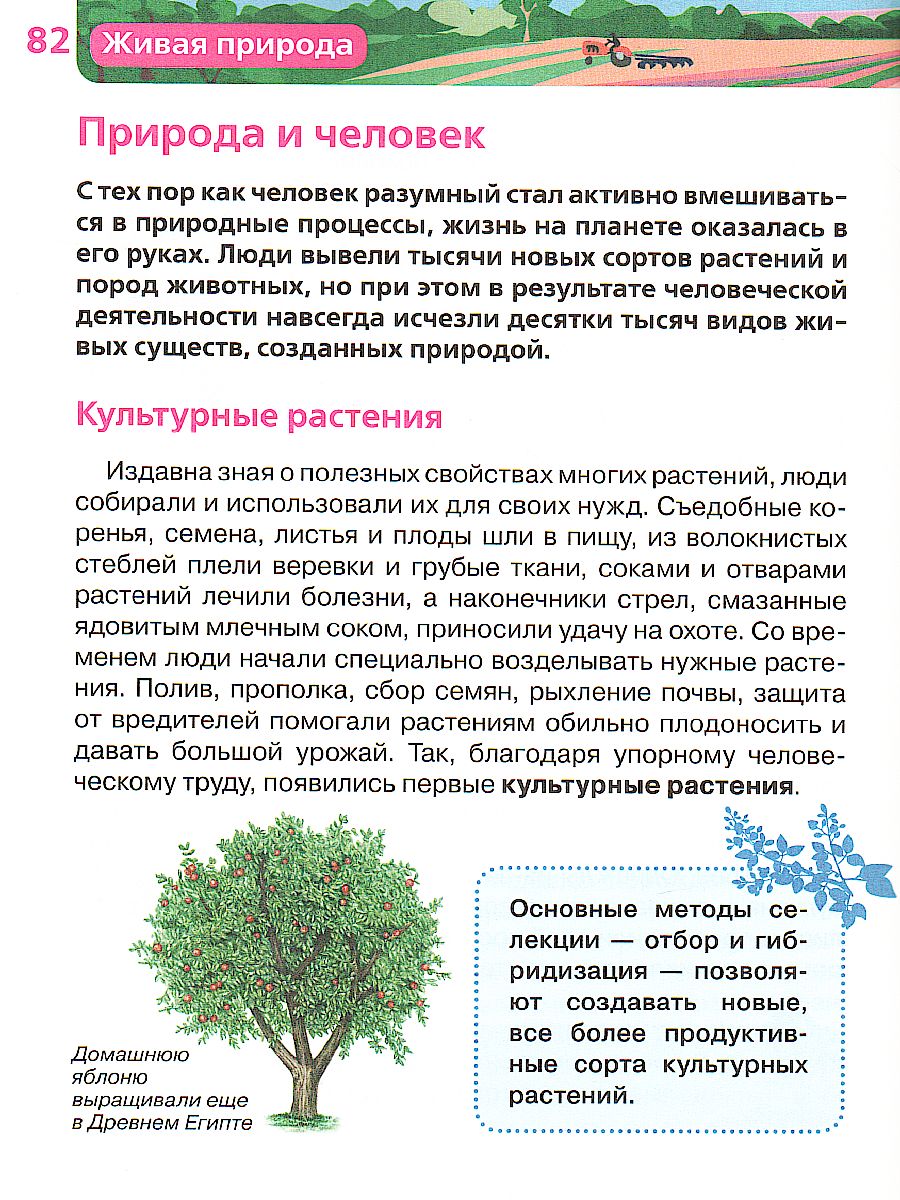 Обложка Живая природа, издательство РОСМЭН | купить в книжном магазине Рослит