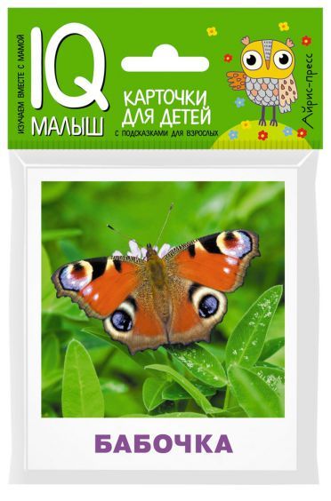 Обложка книги Умный малыш. Насекомые. Набор карточек для детей, Автор Ходюшина Н.П., издательство Айрис | купить в книжном магазине Рослит