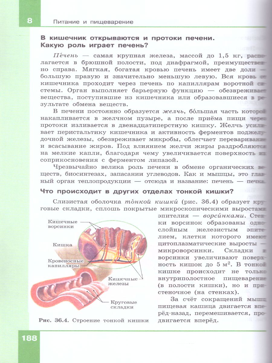 Обложка книги Биология 9 класс. Учебник, Автор Рохлов В.С. Трофимов С.Б. Теремов А.В., издательство Просвещение | купить в книжном магазине Рослит