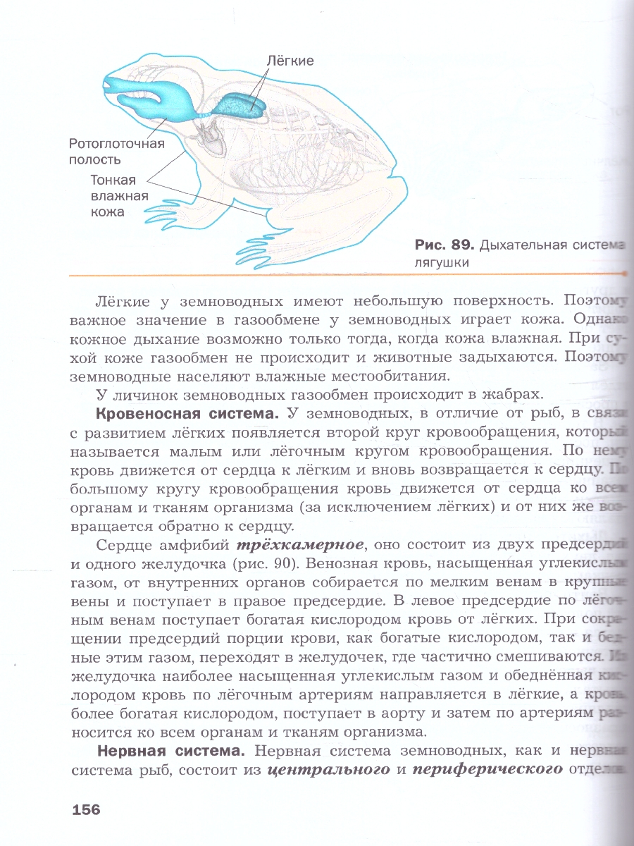 Обложка книги Биология 8 класс. Базовый уровень. Учебное пособие. ФГОС, Автор Бабенко В.Г. Фадеева  Е.О., издательство Просвещение | купить в книжном магазине Рослит