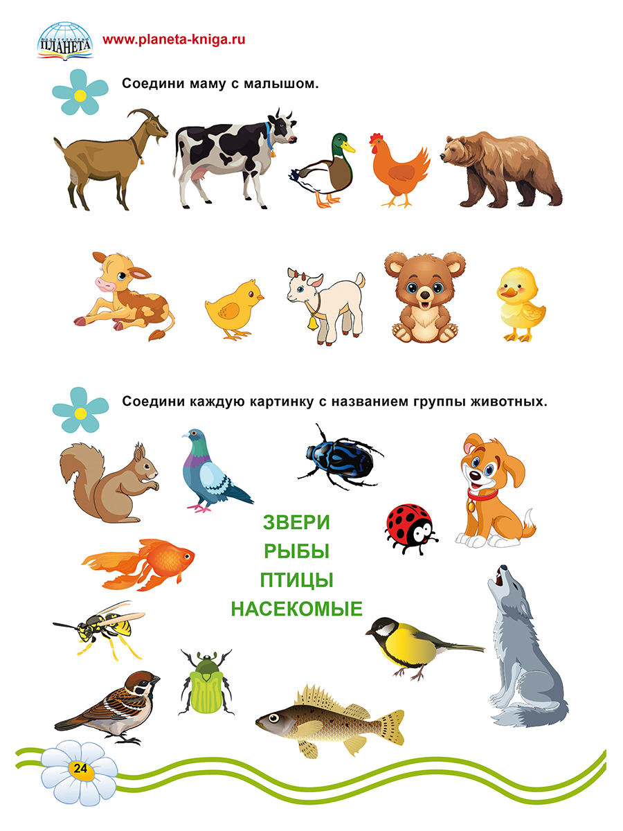 Обложка книги Подготовка к школе. Окружающий мир/Группа В (Планета), Автор Амосова И.Ю., издательство Планета | купить в книжном магазине Рослит