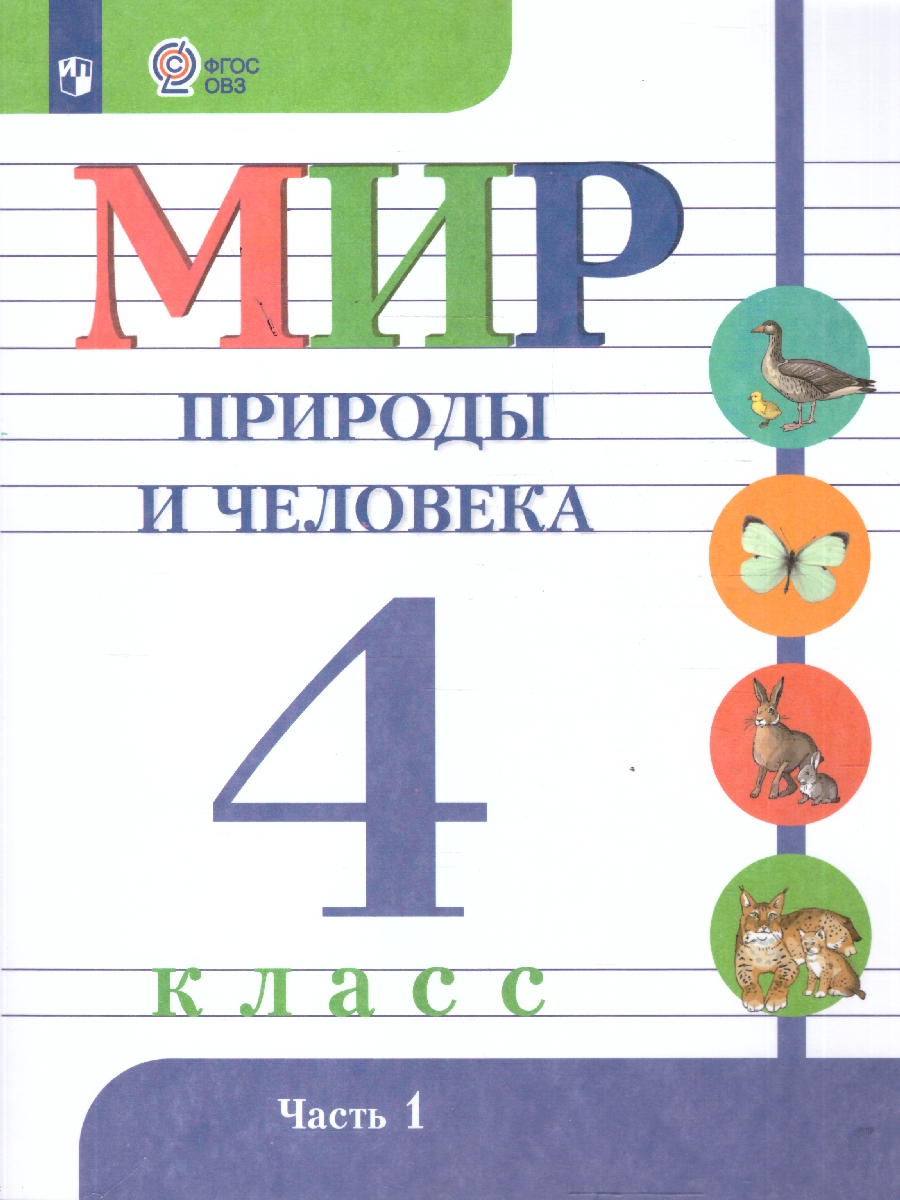 Обложка книги Мир природы и человека 4 класс. Учебник. В 2-х частях. Часть 1. ФГОС ОВЗ, Автор Матвеева Н. Б.; Ярочкина И. А.; Попова М. А., издательство Просвещение | купить в книжном магазине Рослит