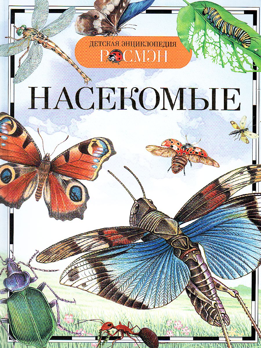Обложка Насекомые, издательство РОСМЭН | купить в книжном магазине Рослит