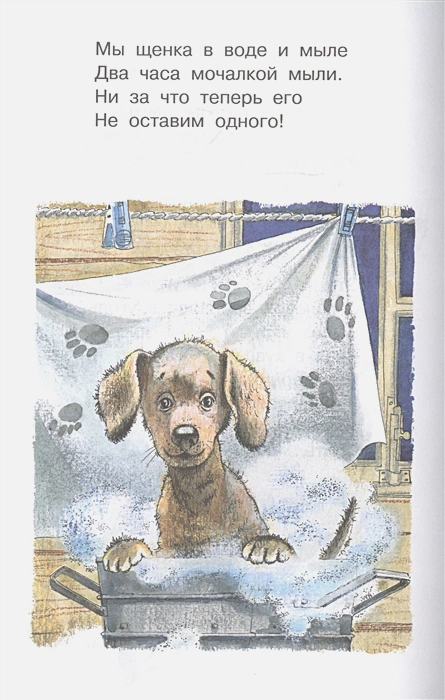 Обложка Михалков С.В. А что у вас? Стихи про ребят и про зверят. Библиотека для дошколят, издательство АСТ | купить в книжном магазине Рослит