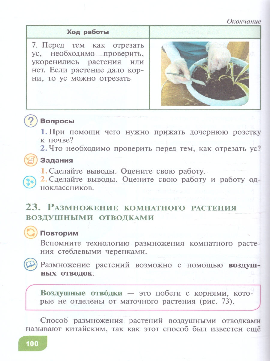 Обложка книги Технология  9 класс. Цветоводство и садоводство. ФГОС ОВЗ, Автор Карман Н. М.; Зак Г. Г., издательство Просвещение | купить в книжном магазине Рослит
