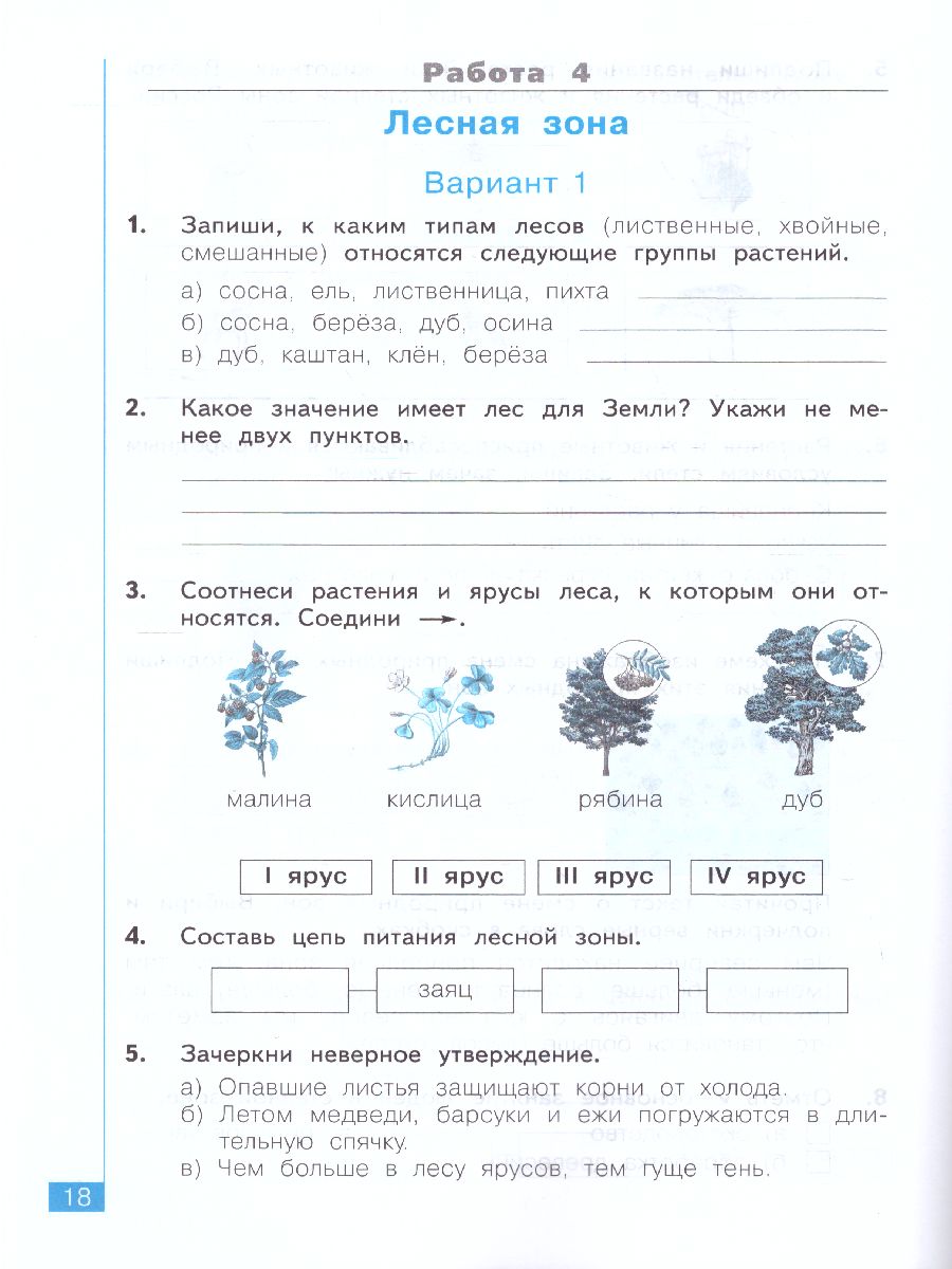Обложка книги Дмитриева, Казаков Окружающий мир 3 кл. Тематический и итоговый контроль. Рабочая тетрадь (Бином), Автор Галяшина П.А., издательство Просвещение/Союз                                   | купить в книжном магазине Рослит